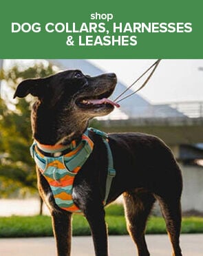Dog Collars, Harnesses & Leashes